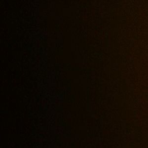 Meet your Posher, Bianca